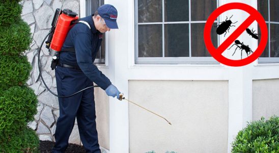 Ereğli Hamam Böceği İlaçlama böcek ilaçlama ve haşere kontrolü — ilaclama-tr.com